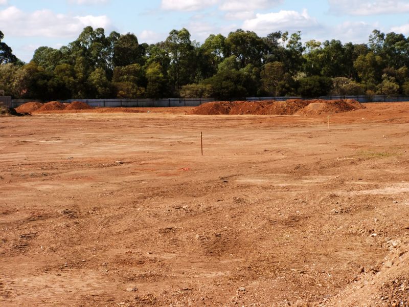 Who Does Landscapings