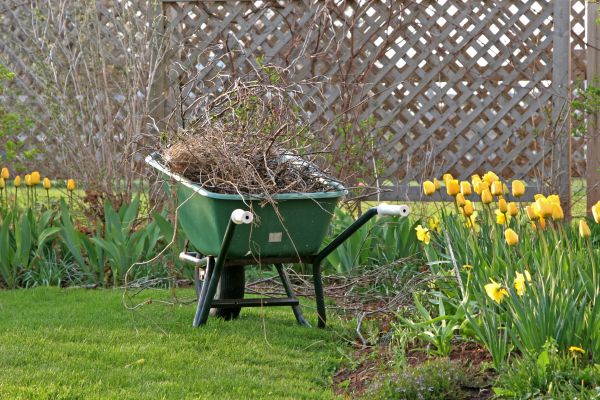 Flower Bed Cleanup Service in Bowie