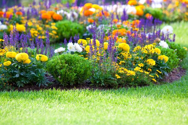 Flower Bed Maintenance in Bowie
