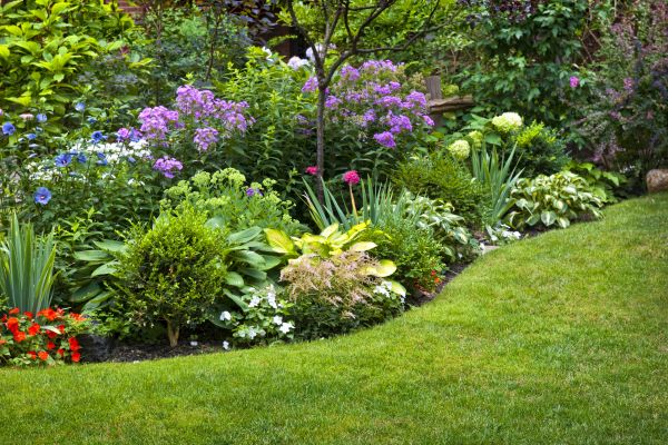 Flower Bed Service in Bowie