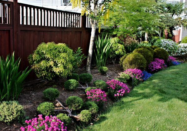 Garden Care Service in Bowie