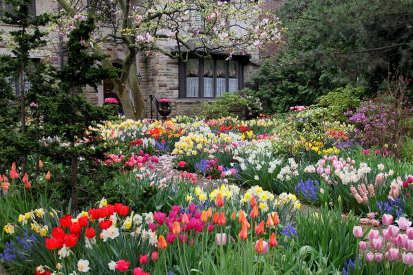 Garden Maintenance Service in Bowie