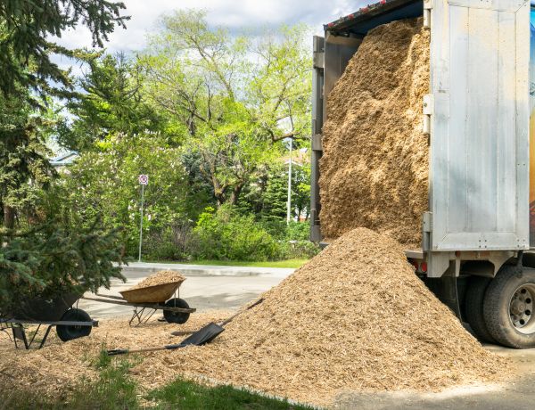 Wood Chips Delivery in Bowie