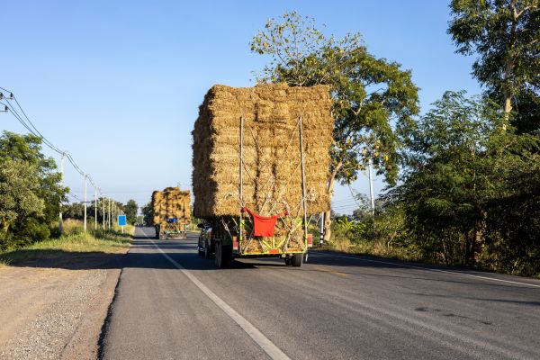 Pine Straw Delivery in Bowie