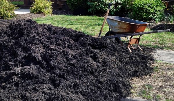 Black Mulch Delivery in Bowie