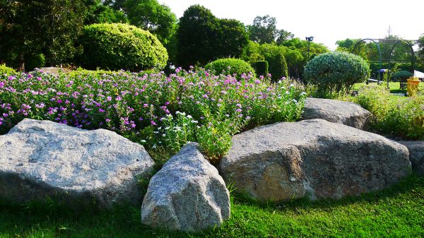 Boulder Landscaping in Bowie