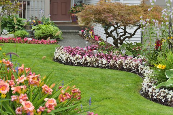 Perennial Landscaping in Bowie