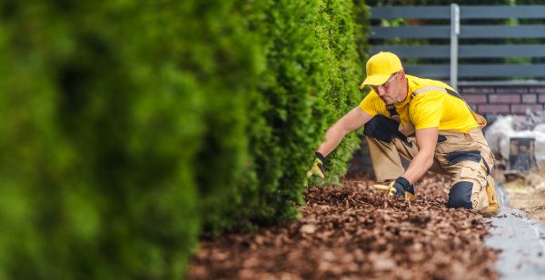 Cypress Mulch Installation in Bowie