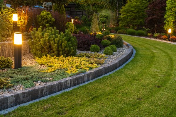 Garden Repair Service in Bowie