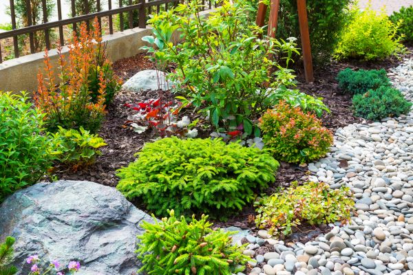 Rock Landscape Maintenance