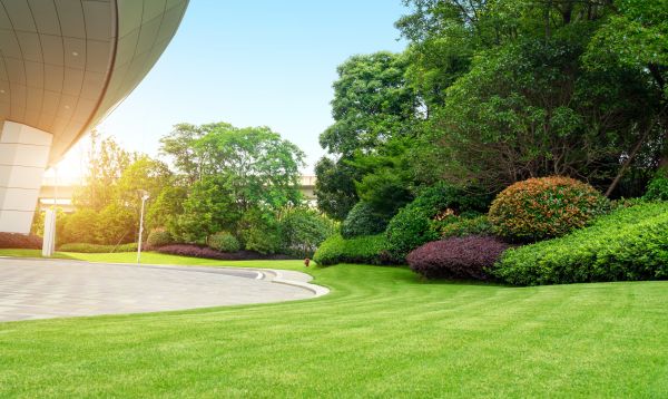 Business Landscape Design in Bowie