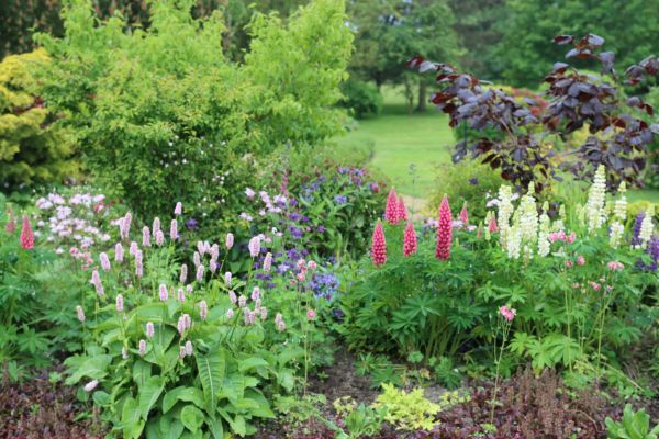 Flower Bed Planting in Bowie