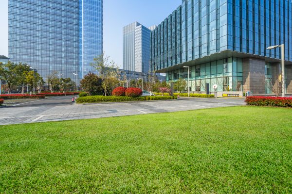 Industrial Landscaping Service in Bowie
