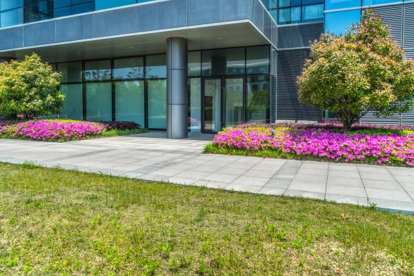 Commercial Gardening in Bowie