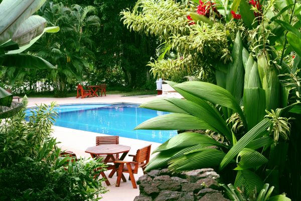Tropical Garden Landscaping in Bowie