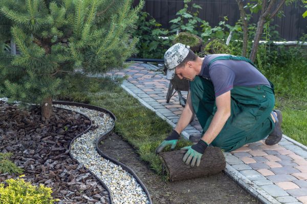 Landscaping Modification in Bowie