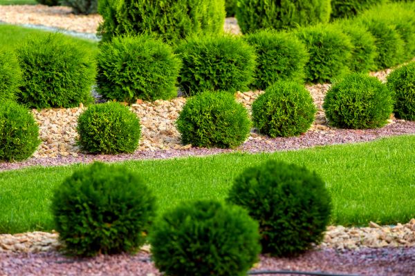 Bush Installation in Bowie