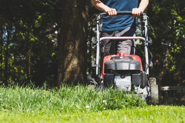 Garden Trimming Service in Bowie