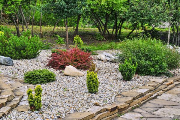 Hardscape Landscaping in Bowie