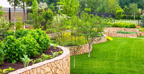 Yard Makeover Service in Bowie