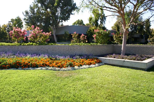 Commercial Landscape Service in Bowie
