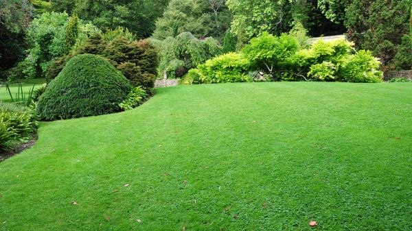 Commercial Landscape Design in Bowie
