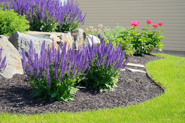 Landscape Planting Service in Bowie