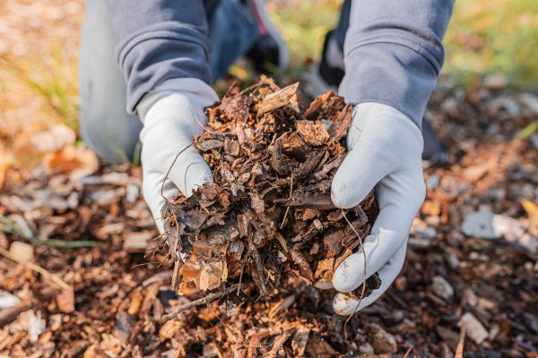Shredded Mulch Installation in Bowie