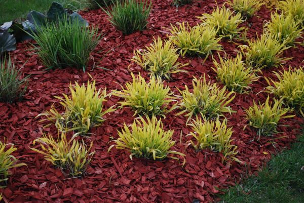 Red Mulch Installation in Bowie