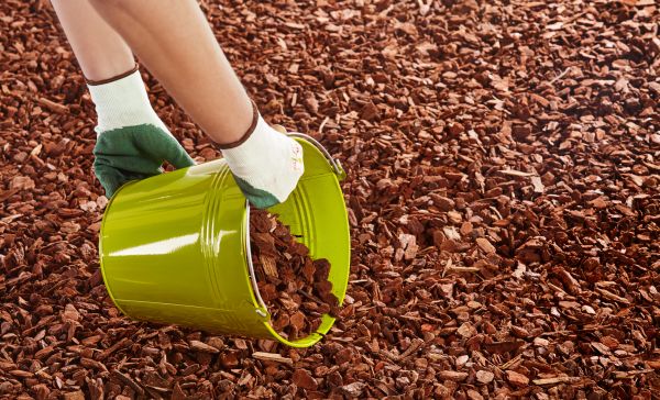 Wood Chip Landscaping in Bowie