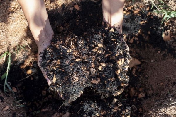 Organic Mulch Installation in Bowie