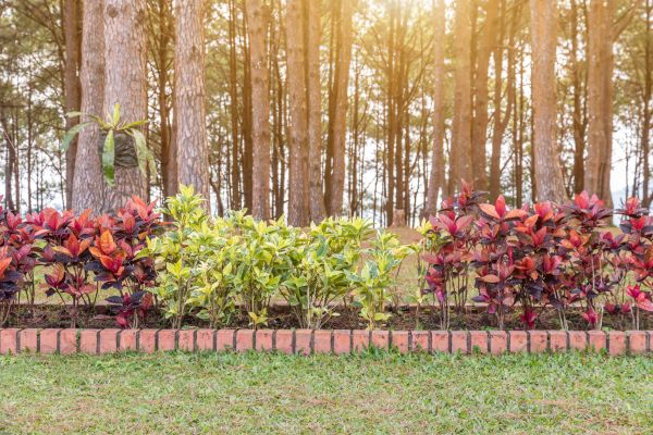 Small Garden Landscaping in Bowie