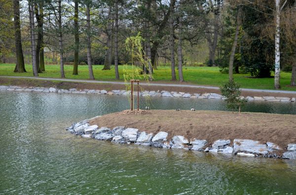 Pond Landscaping Service in Bowie