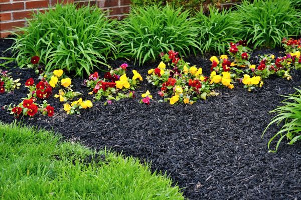 Apartment Mulching in Bowie
